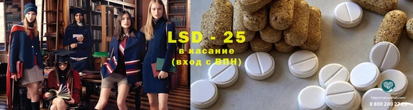 прущие грибы Алексеевка