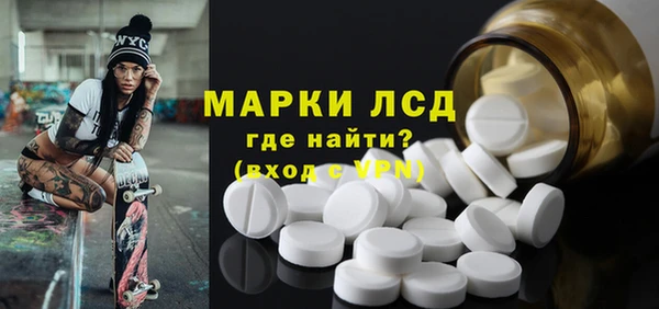 прущие грибы Алексеевка