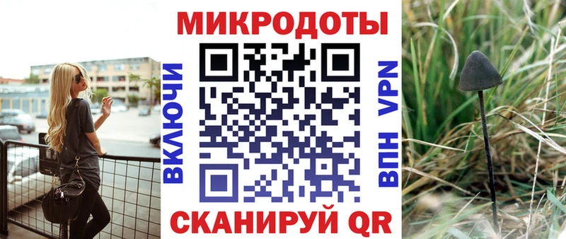 Галлюциногенные грибы Psilocybe Николаевск